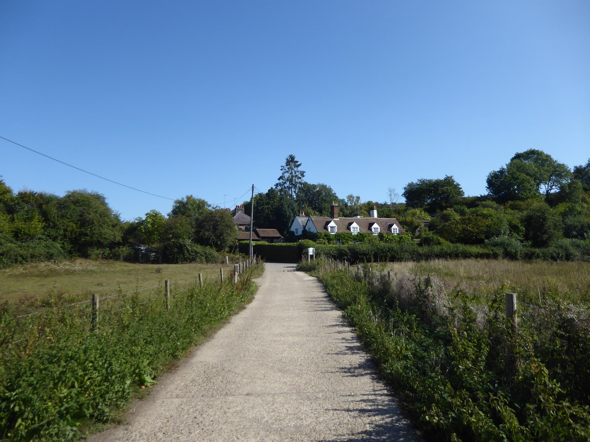 The Baspa river running through meadow near Rakchham