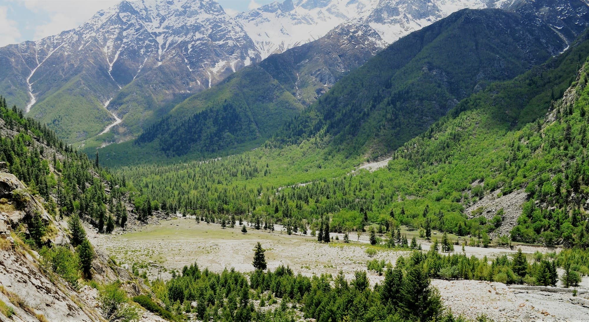 Terraced farming on Kinnaur mountain slopes