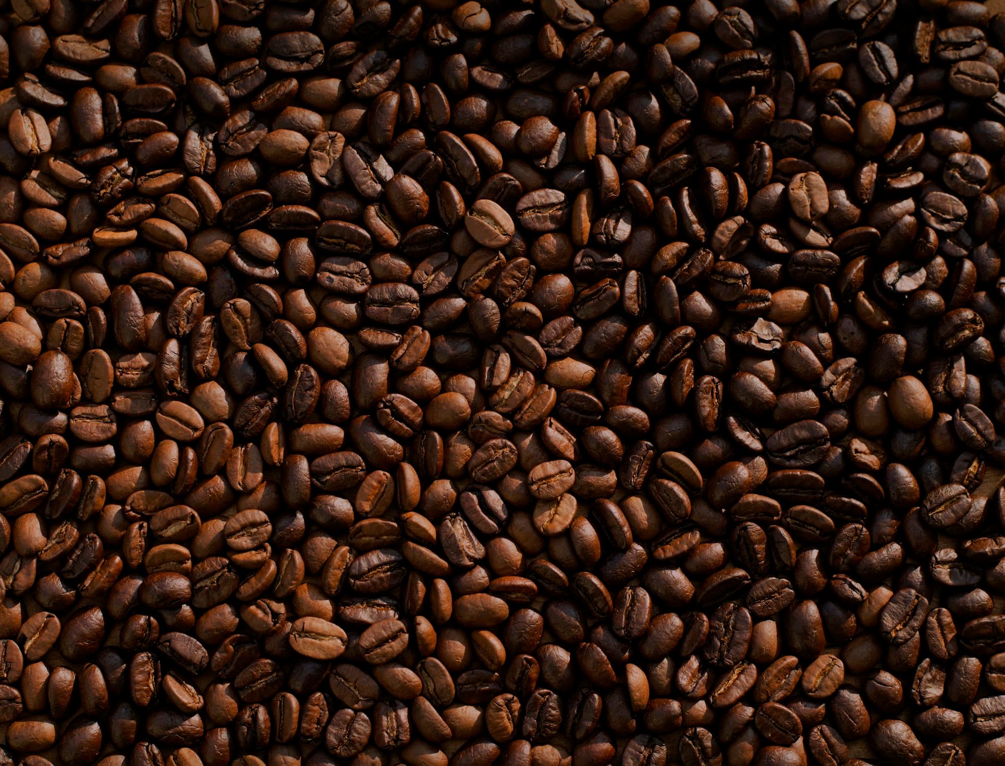 Roasted coffee beans and spices