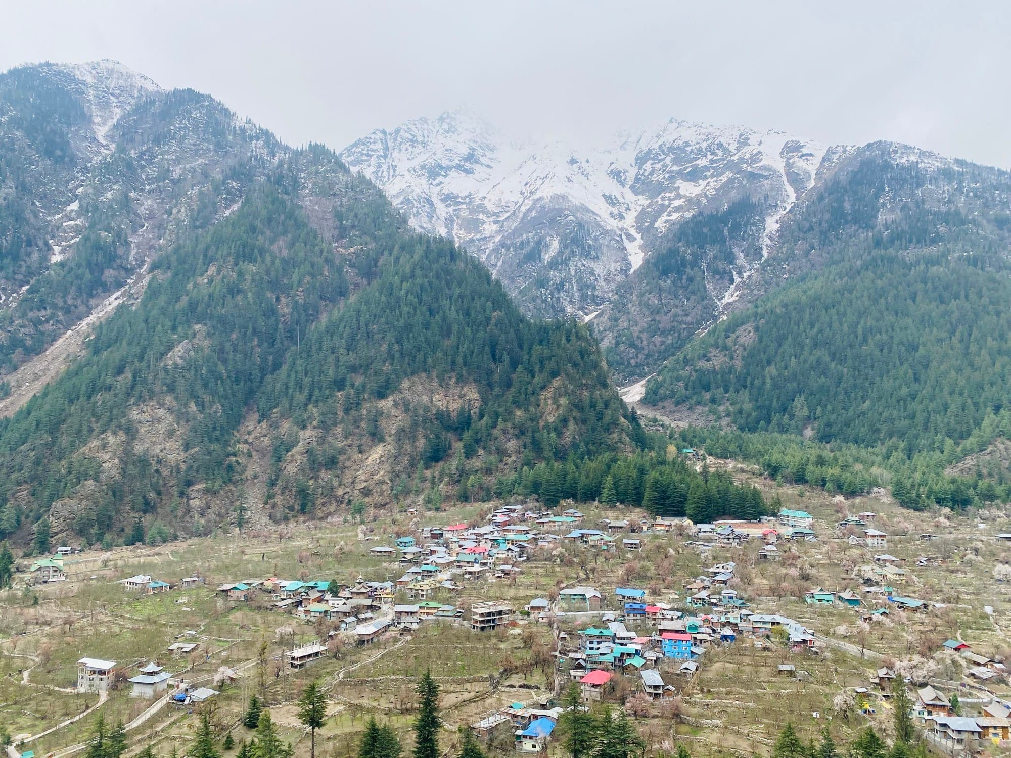 Sangla village and its terraced fields in the Baspa valley
