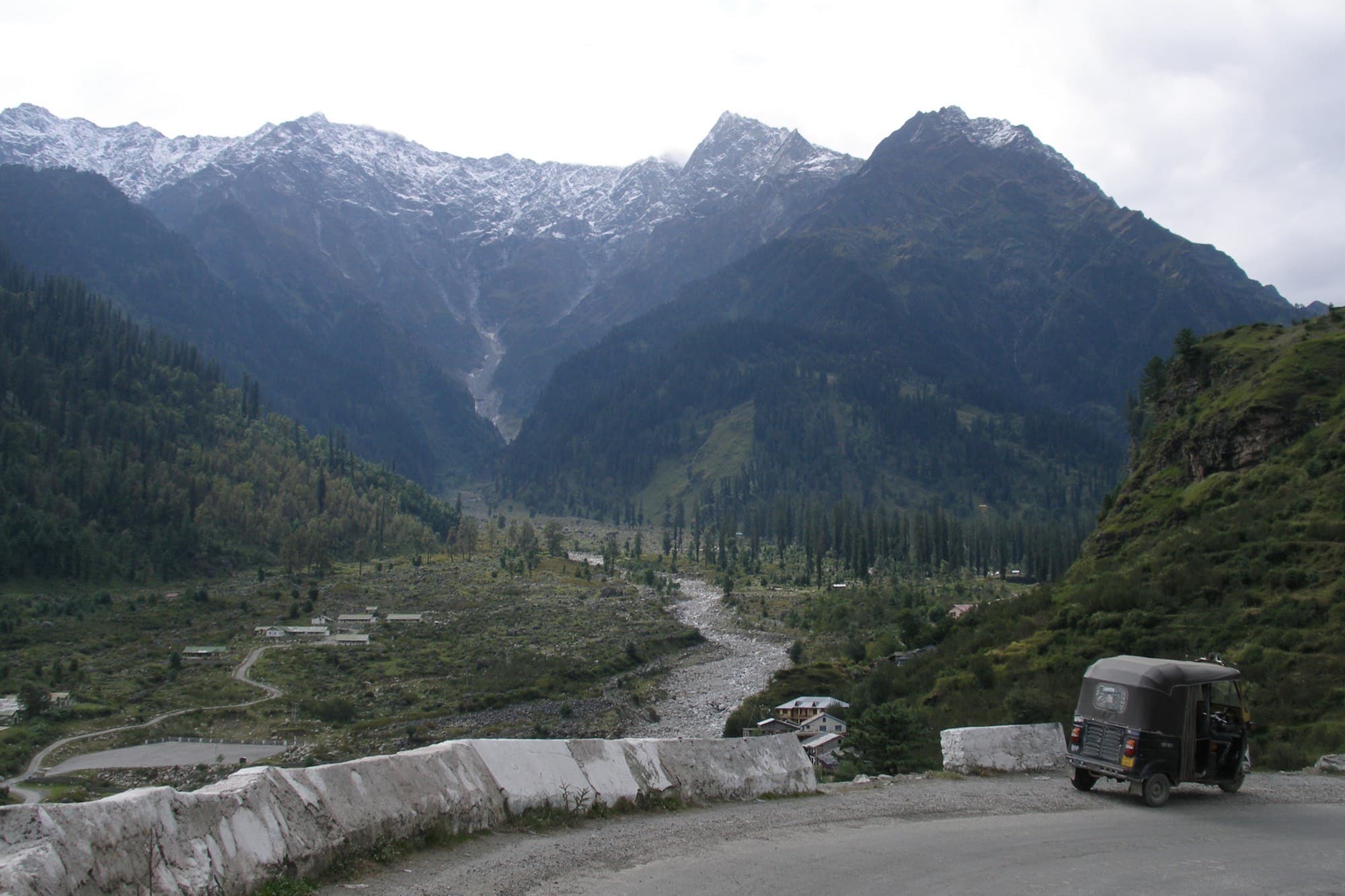 Pine forest in the Sutlej valley near Tapri